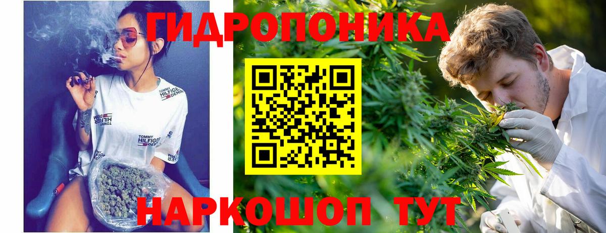 Бошки марихуана план  Шишки марихуана AK-47  Вход с VPN  Марихуана план  Каннабис VHQ  Ишимбай 